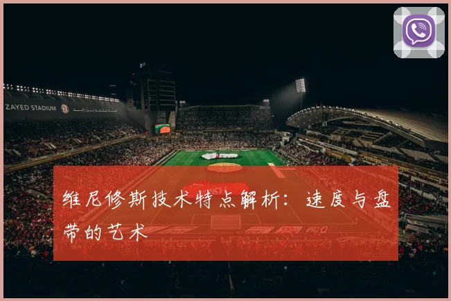 维尼修斯技术特点解析：速度与盘带的艺术