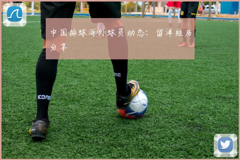 中国排球海外球员动态：留洋经历分享