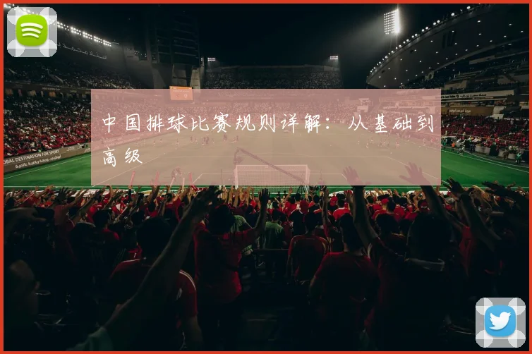 中国排球比赛规则详解：从基础到高级