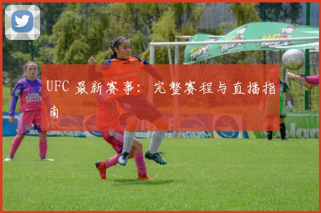 UFC 最新赛事:完整赛程与直播指南
